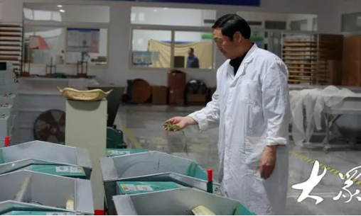 炒了四十年茶,他摸透了茶叶的“脾气”