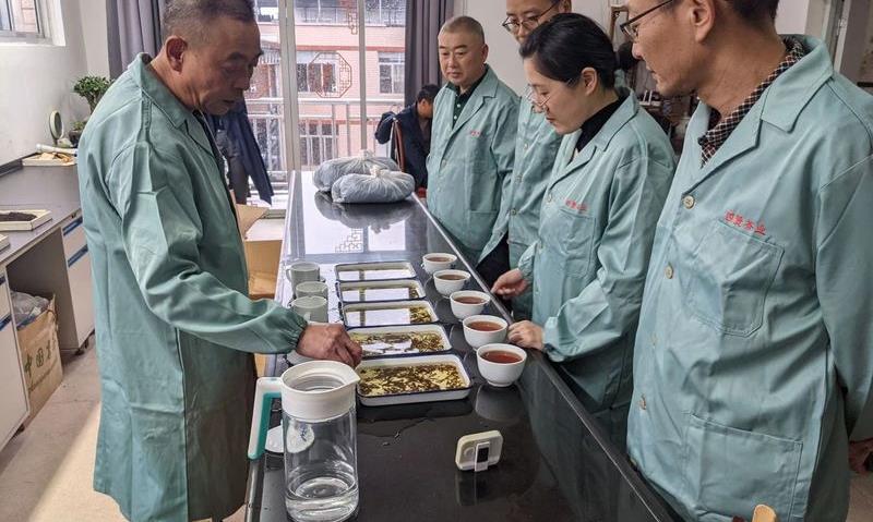 泰顺县茶产业机械化建设创新探索与实践