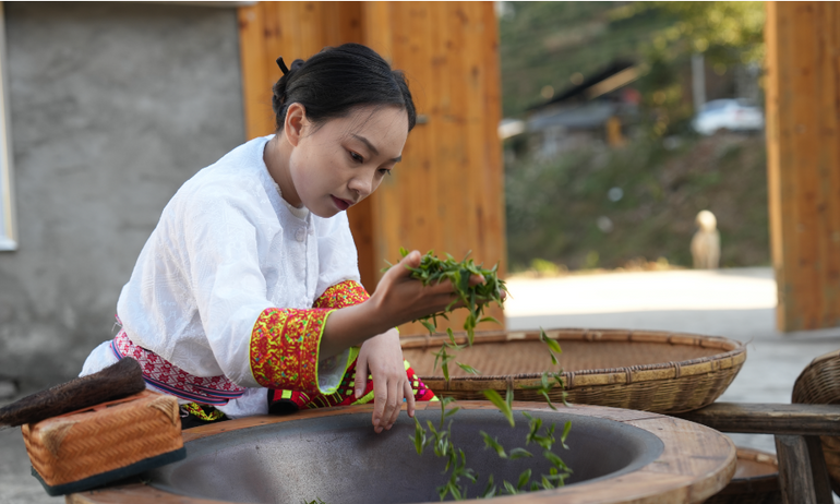 走出大山又回到大山 隆回“00后”女孩只为家乡一抹茶香