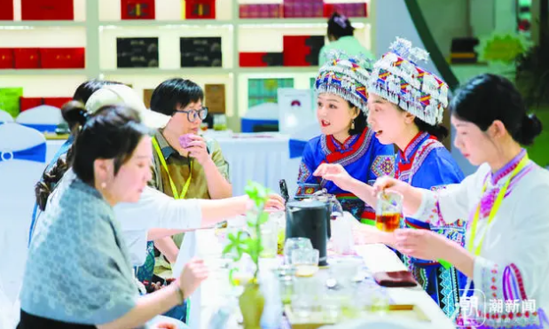 逛茶博会 看见茶的全新姿态