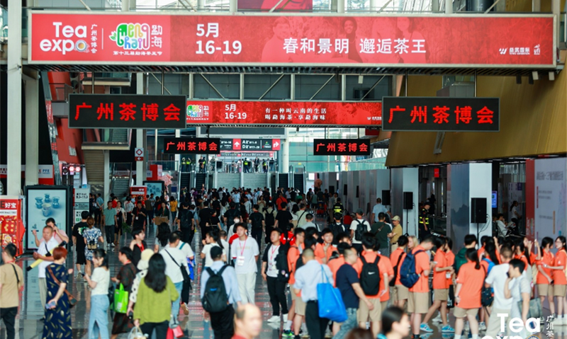 活力广州，魅力茶王  2024春季广州茶博会盛大开幕