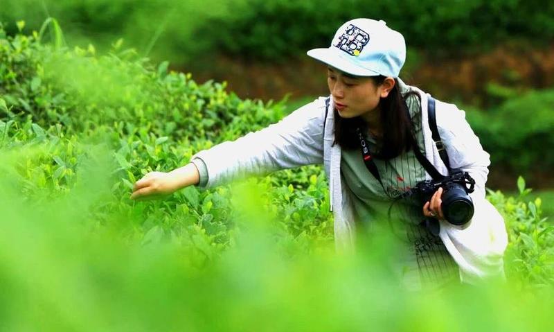 湄潭李燕丽:发挥专长,助力茶产业发展