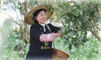 “老茶人”新故事——记“兴保人才奖”获得者陈亚忠