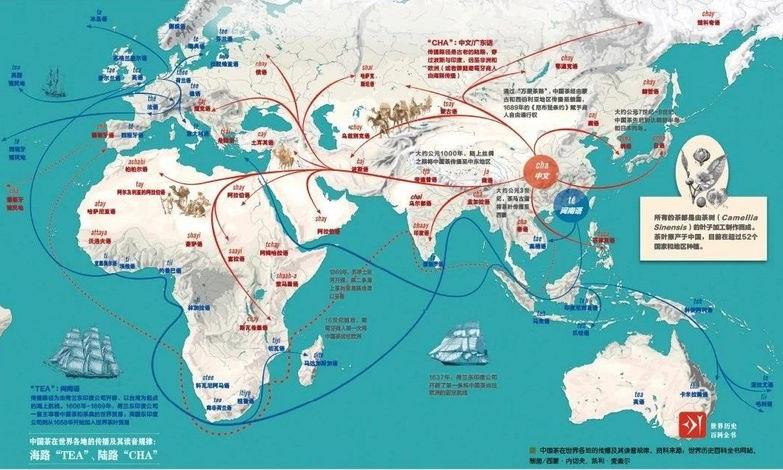 茶:文明交流互鉴而普惠世界的巨大成果