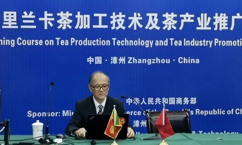 文化自信，价值视域中的茶与茶和天下