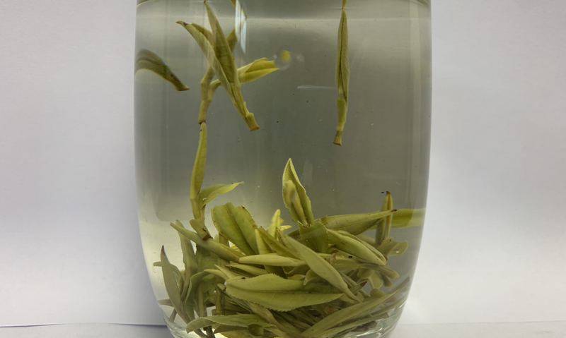 全国名特优新农产品展播——崂山龙须