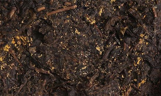 黑茶探秘：越陈越香的奥秘与品鉴之道