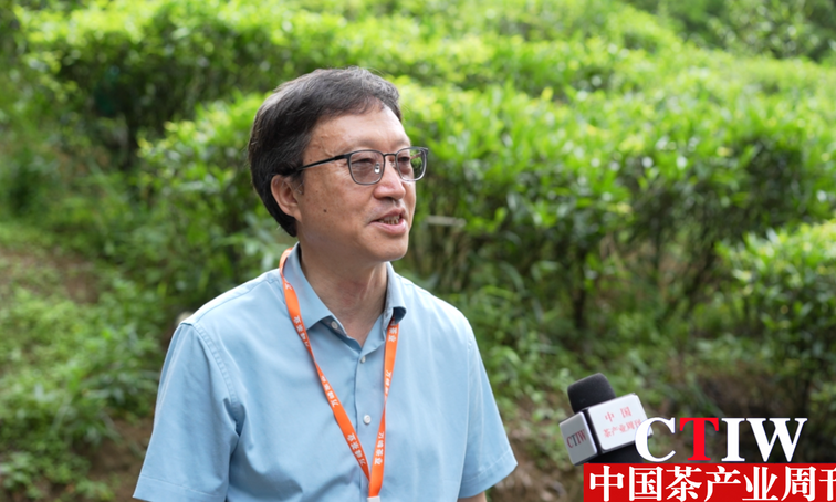 孙威江:深入研究凤凰单丛茶的品质特征
