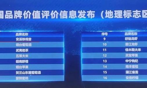 关仁山:安溪茶文化氛围 为我创作带来灵感