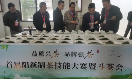 科技助力乡村振兴专家团队郑鹏程:助力黄石茶产业