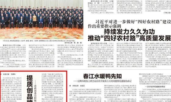 云南省政协委员积极建言云南茶产业发展和茶文化推广