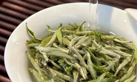 白茶的奥秘：从历史到品鉴的全方位解读