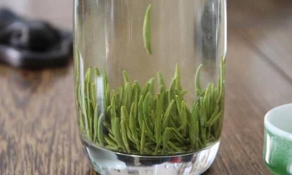 金坛雀舌—桃花雨中金雀舌