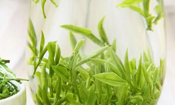 霍山黄芽茶：千年传承，品味黄山之韵