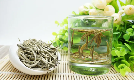 品味白茶,领略自然之韵