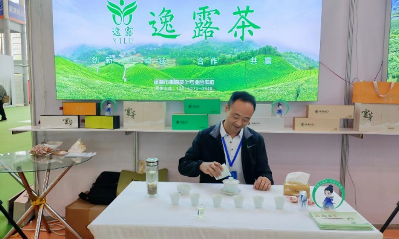 齐刷刷,诸暨名茶“靓”甬城