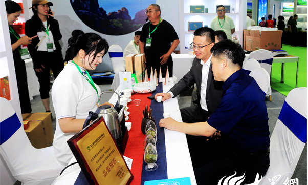 2024第20届山东烟台国际春季茶产业博览会火爆开幕