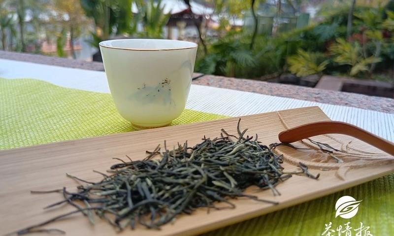 夏季饮茶好处多,饮茶解暑如何防止“醉茶”