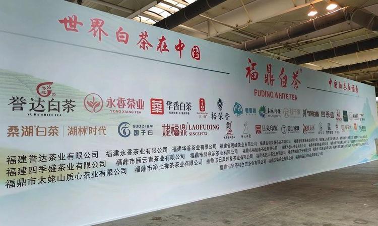 29家福鼎白茶展团亮相北国春城