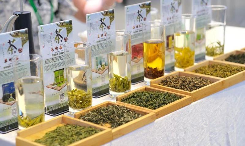 “茶博会”启幕,铜仁“梵净山茶”飘香深圳