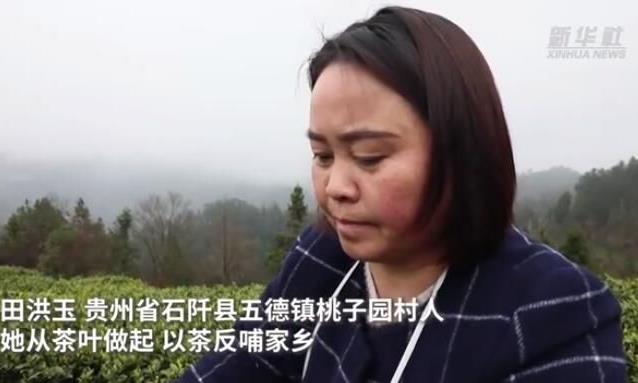乡村振兴看石阡:乡土人才绘就乡村茶振兴新画卷