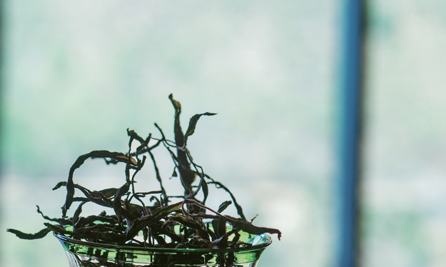 普洱茶的活性到底是什么?