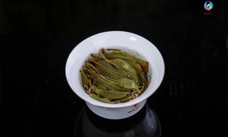 叶底泛红是不是好茶?
