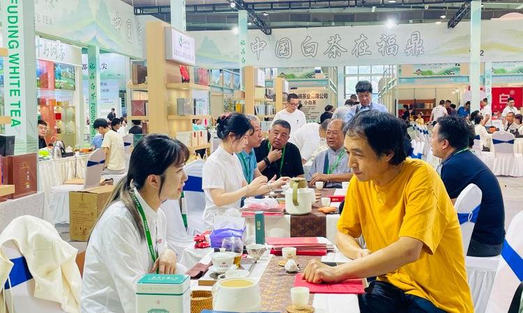 福鼎白茶 相约景德镇 ,首届中国景德镇国际茶业博览会:精彩值得期待!
