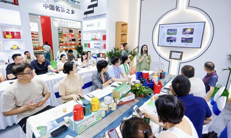 对接茶饮全产业链,古丈县携手茶企亮相第29届深圳茶博会