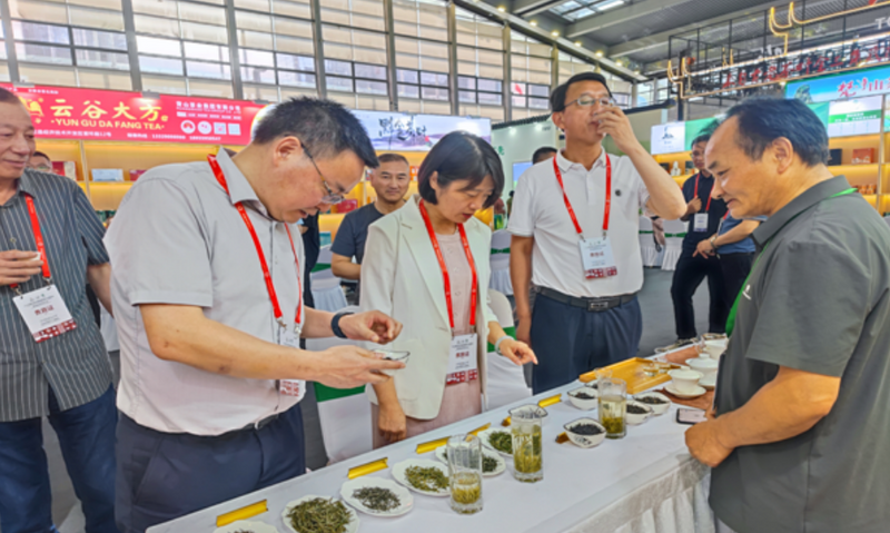 休宁县组织茶企参加深圳国际茶产业博览会