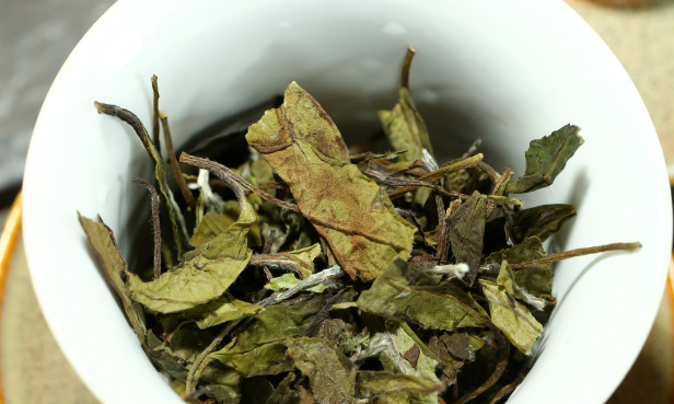 白茶中散茶与茶饼哪个更好?