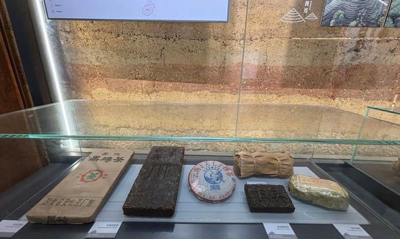 我们的“七·一” 茶马古道驼铃响,苍洱处处党旗扬
