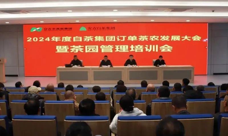 聚焦安吉白茶技能大师-李锋