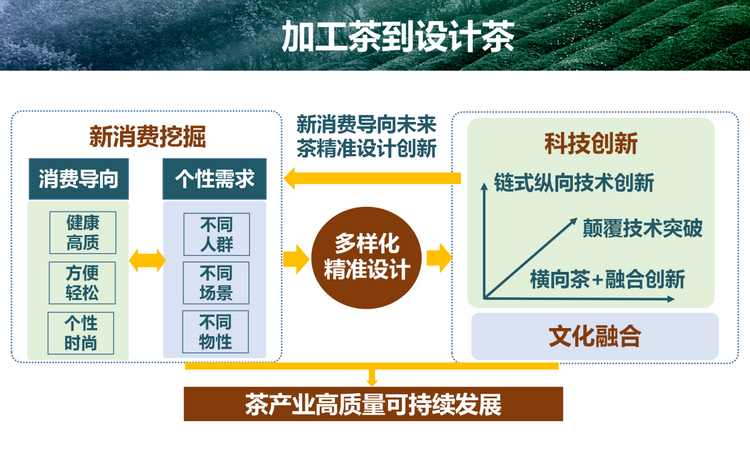 尹军峰教授演讲回顾 洞察新消费导向,揭秘未来茶创新路径