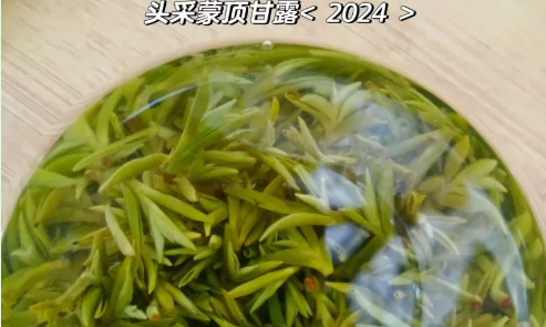 中国最古老的名茶——蒙顶甘露