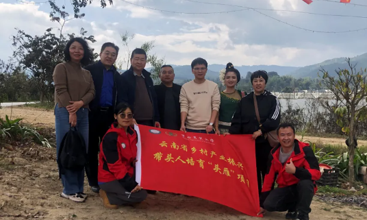 玉应罕:90后傣族女返乡创业 改良生态茶园闯高端市场