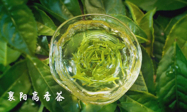 湖北茶叶二季度品牌热度榜20强揭晓