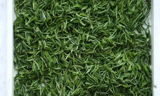 形态多姿的兰花形绿茶