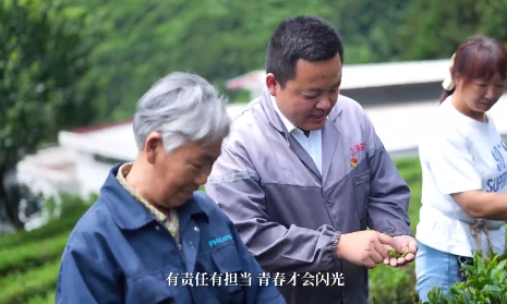 何亨亨: “小”茶叶带动“大”产业