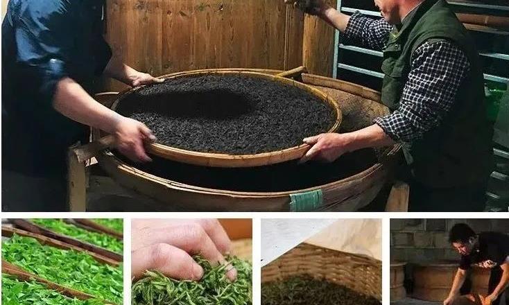 红茶发酵的时间是多少个小时