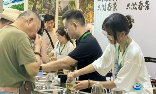 汇集国内69个产区上万种茶产品 第四届兰州茶博会开幕