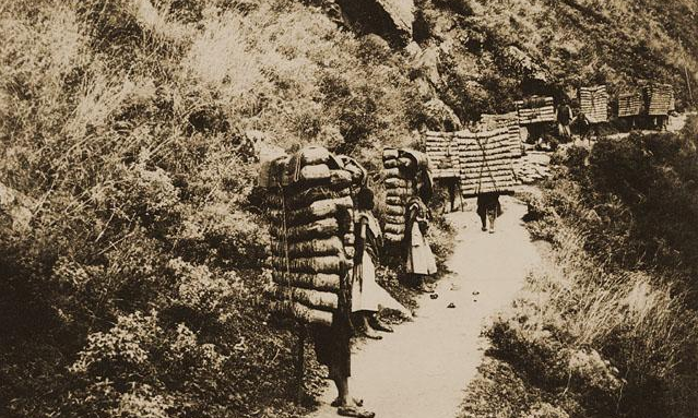 茶马古道上的罗坝