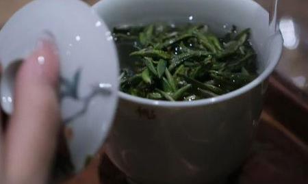 茶中日月长，阳光下的慢生活哲学