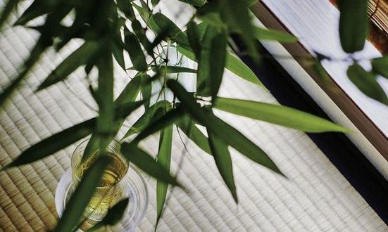 详解杀青、晒青、炒青...