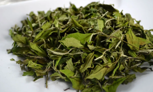 新白茶的青味之魅:探索与领悟