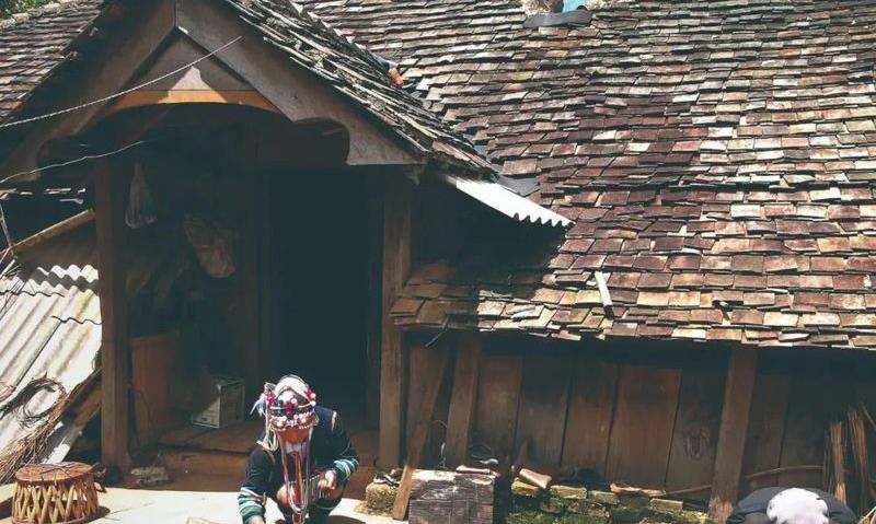 茶因包容而至广大