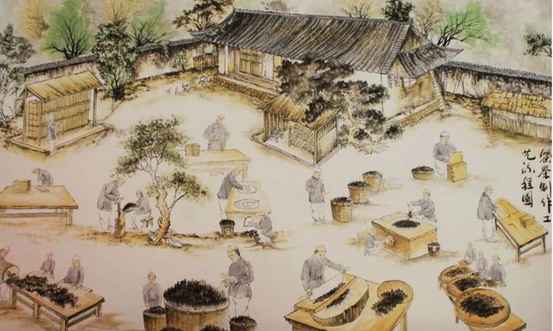 走进茯茶世界:历史、品类与工艺的探秘之旅