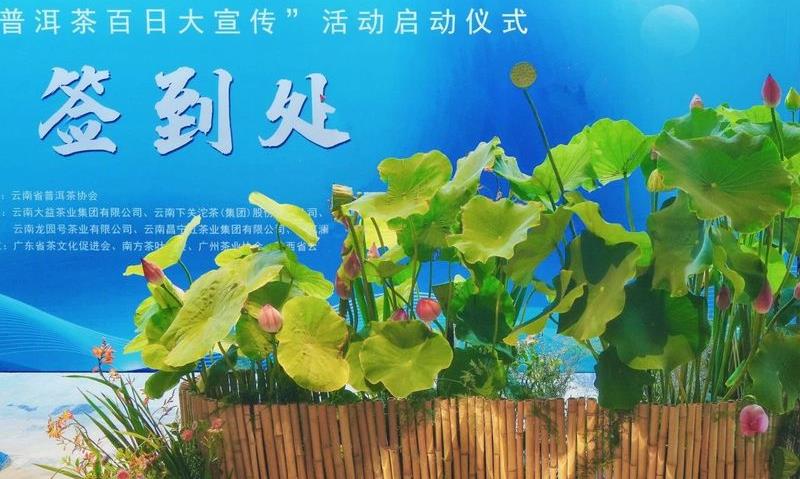 云南普洱茶产业健康发展倡议 暨“云南普洱茶百日大宣传”活动启动仪式 胜利举办