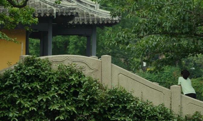 家中藏茶:普洱茶的诗意栖居