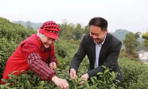 廖红军：做白茶产业发展的“尖兵”